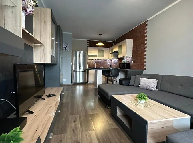 Zdrojowa Projekt Apartment