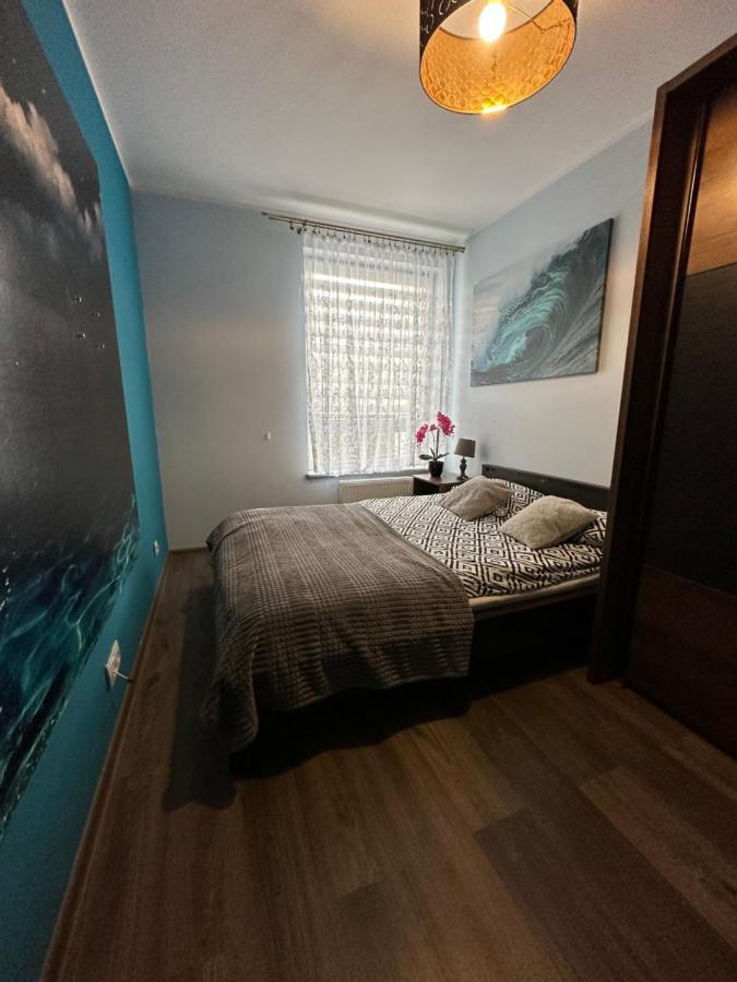 Apartment Zdrojowa Projekt Zielona Gora (Lubuskie)